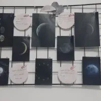 قفسه فلزی مشبک