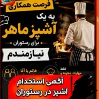 آشپز حرفه ای و ماهر