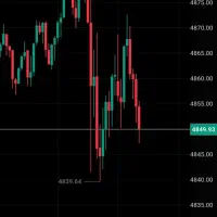 جذب سرمایه گذار در فارکس