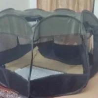 سگ پامیرین عروسکی|سگ|بندرعباس, |دیوار