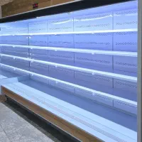 دز قفسه Lui یخچال پرده هوا فروشگاهی giop|فروشگاه و مغازه|دزفول, |دیوار