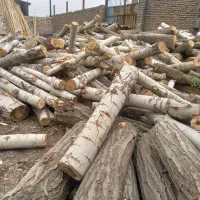 خریدار چوب