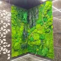 آموزش دیوار خزه ای