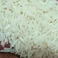 برنج فجر سوزنی تخت بوجار|خوردنی و آشامیدنی|گرگان, |دیوار