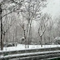 آگهی استخدام حسابدار خانم