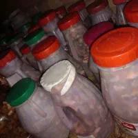 ترشی تازه مخلوط