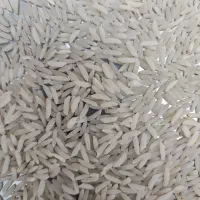 برنج طارم