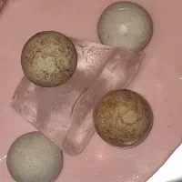 سنگ فلورانس یا شب چراغ|جواهرات|اهواز, اهواز|دیوار