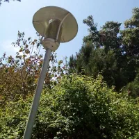 پیشه ومهارت