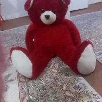 خرس یک متری
