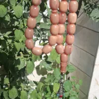 تسبیح سندلوس استخوانی