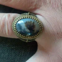 انگوشتر شجر