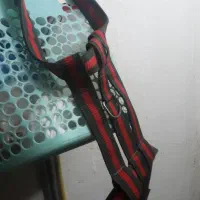 ابساروسینه بند|لوازم جانبی حیوانات|تهران, باغ خزانه|دیوار