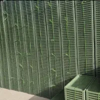 جعبه شلتوک کاری سینی کاست مکانیزه نشا