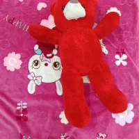 عروسک خرسی نو|اسباب‌بازی بچه|زاهدان, |دیوار