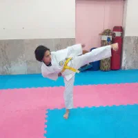 مدرسه کاراته ثبت نام میکند|خدمات آموزشی|شهرکرد, |دیوار