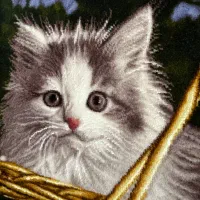 تابلو فرش دستبافت|تابلو فرش|تهران, وحیدیه|دیوار