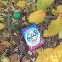 شرکت خدمات نظافتی الماس شرق