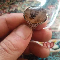 شجر قاعنات دست ساز نقره ۹۲۵