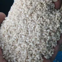 برنج نیم دانه عنبر شرط خالص (تناژ)