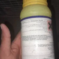 کود اوره دانه ریز