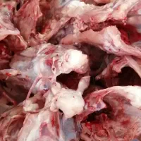 غذای سگ(پخته و خام)