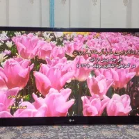 تلوزیون  ۶۰ الجی اصل