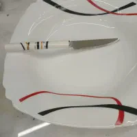 ظروف پذیرایی در حد نو|ظروف سرو و پذیرایی|اهر, |دیوار