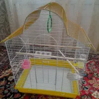 قفس و لانه