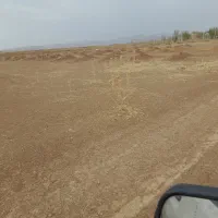 زمین-باغی