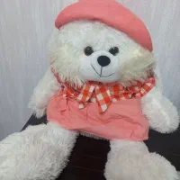 عروسک خرگوش وعروس دامادموش