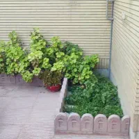 اجاره-واحد-تک-خواب-طبقه-دوم