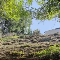 زمین در منطقه گردشگری میخساز