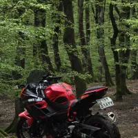 کاوازاکی نینجا ۲۵۰ جفت