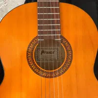 گیتار|گیتار، بیس، امپلیفایر|اصفهان, شفق|دیوار