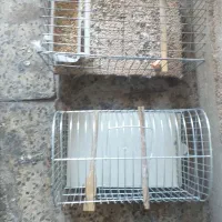 قفس پرنده|لوازم جانبی حیوانات|ایلام, |دیوار