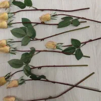 شاخه گل های  زرد|گل مصنوعی|تبریز, |دیوار