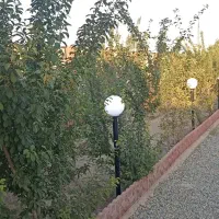 فروش باغچه ۶۰۰ متری در انجم آباد شهریار|فروش زمین و ملک کلنگی|رباط‌کریم, انجم آباد|دیوار