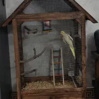 قفس چوبی پرنده