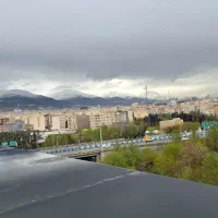 همخانه میشوم