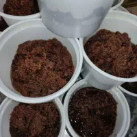 حلوا سرخ سنتی خراسان بربری|خوردنی و آشامیدنی|مشهد, وحید|دیوار