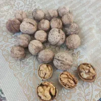 گردو