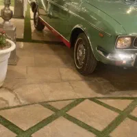 پیکان انگلیسی بدون مشابه