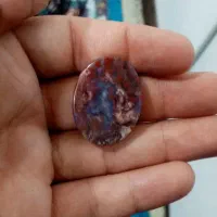 شجر دریای گل عناری|کلکسیون و سرگرمی|اهواز, پردیس|دیوار