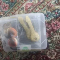 زوعیه|کلکسیون اشیاء عتیقه|زاهدان, |دیوار