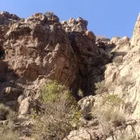 کود حیوانی خشک پشکلی درجه یک