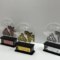 یکان|خدمات پیشه و مهارت|رشت, دباغیان|دیوار