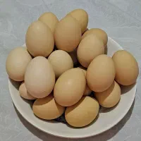 تخم مرغ محلی