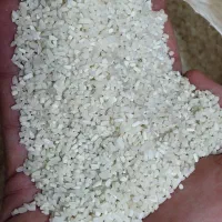 لاشه هاشمی آستانه اشرفیه|خوردنی و آشامیدنی|قم, یخچال قاضی|دیوار