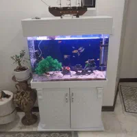 آکواریوم با کمد و لوازم